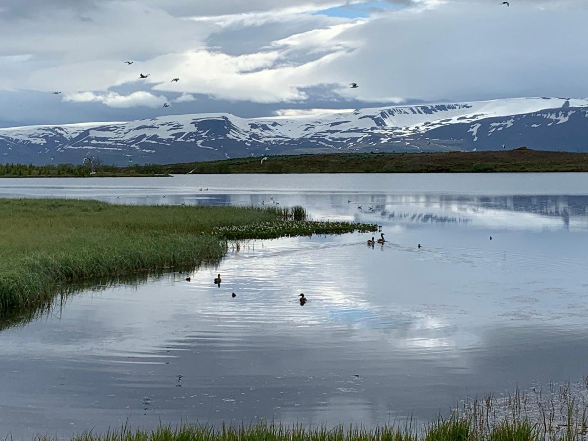 Kaldbaks-Kot Cottages Húsavík Buitenkant foto