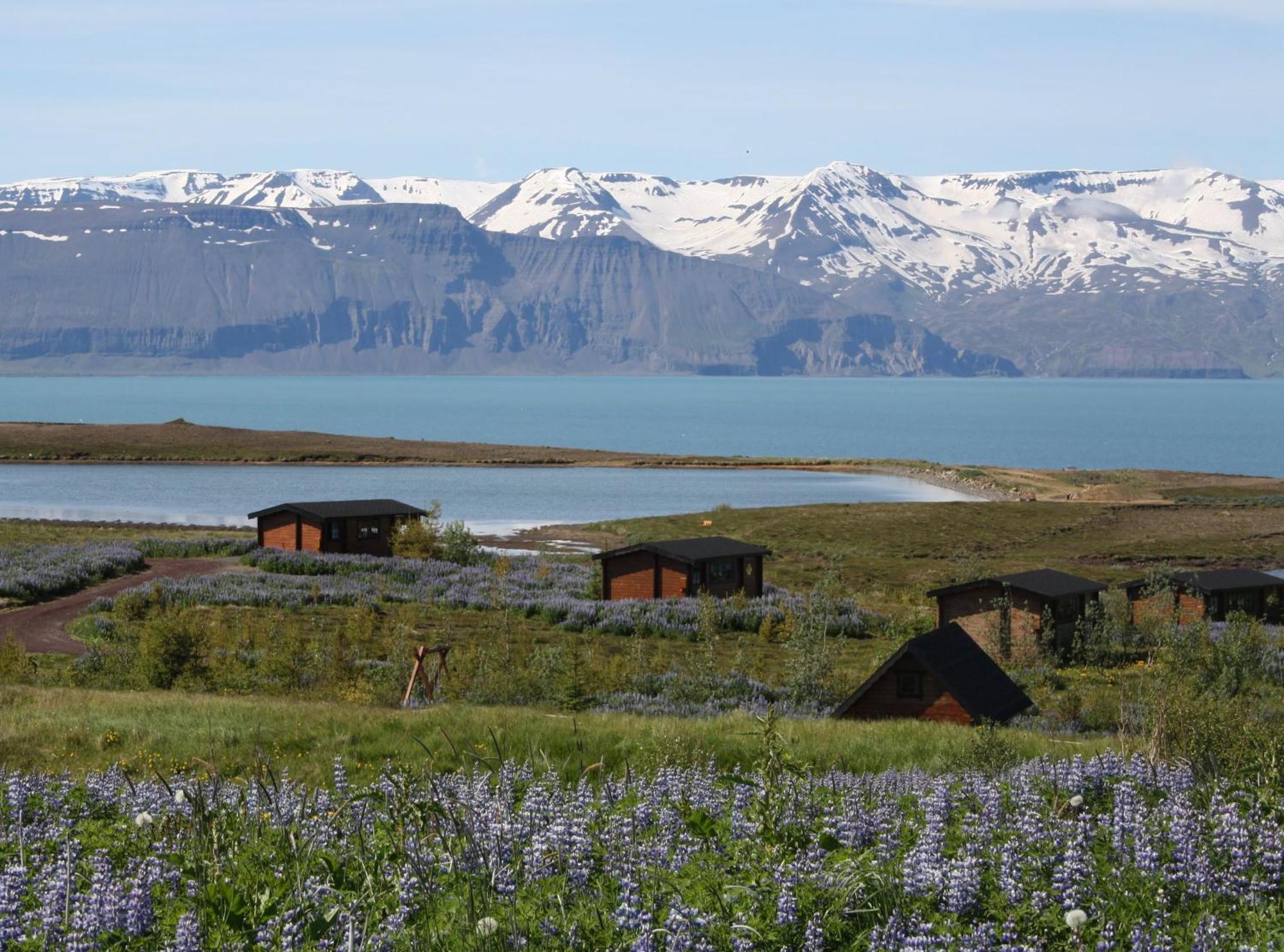 Kaldbaks-Kot Cottages Húsavík Buitenkant foto
